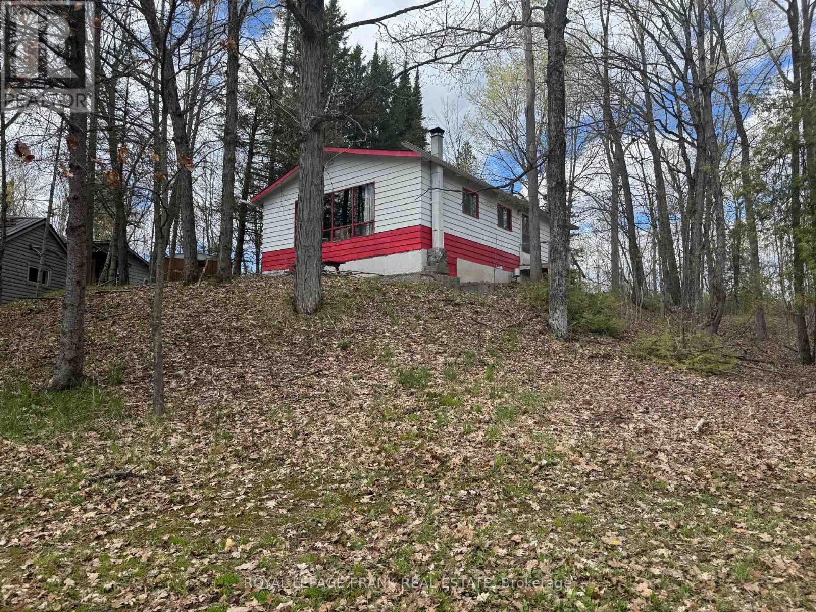 164 Hill Drive, Trent Lakes, Ontario  K0L 1J0 - Photo 5 - X13104372