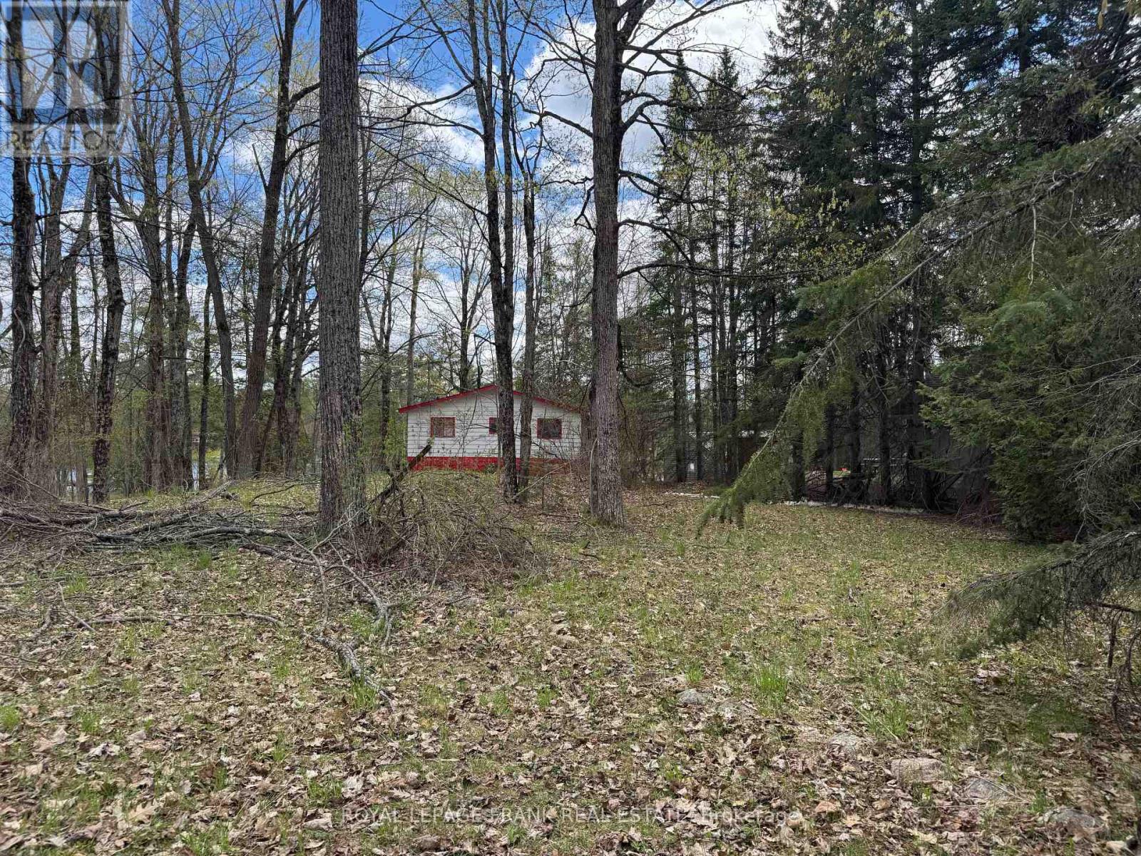 164 Hill Drive, Trent Lakes, Ontario  K0L 1J0 - Photo 4 - X13104372