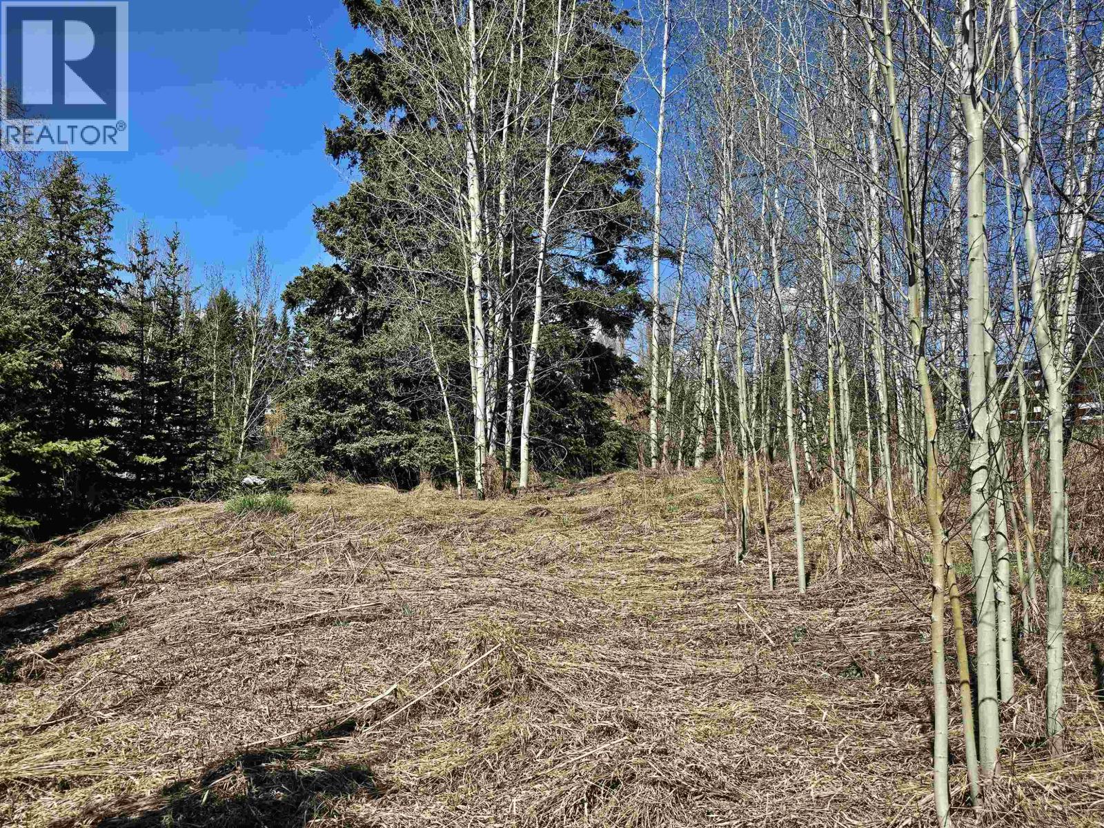 101 5th Avenue, Burns Lake, British Columbia  V0J 1E0 - Photo 2 - R3057796