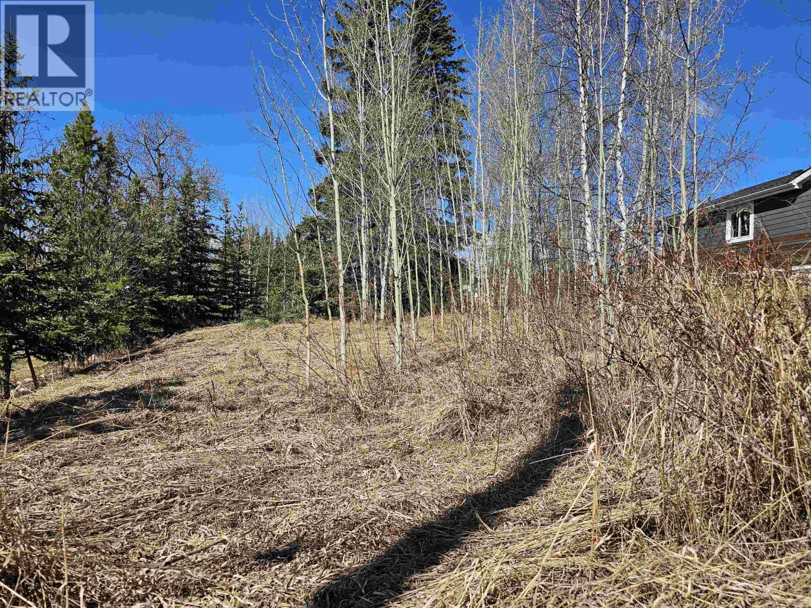 101 5th Avenue, Burns Lake, British Columbia  V0J 1E0 - Photo 7 - R3057796