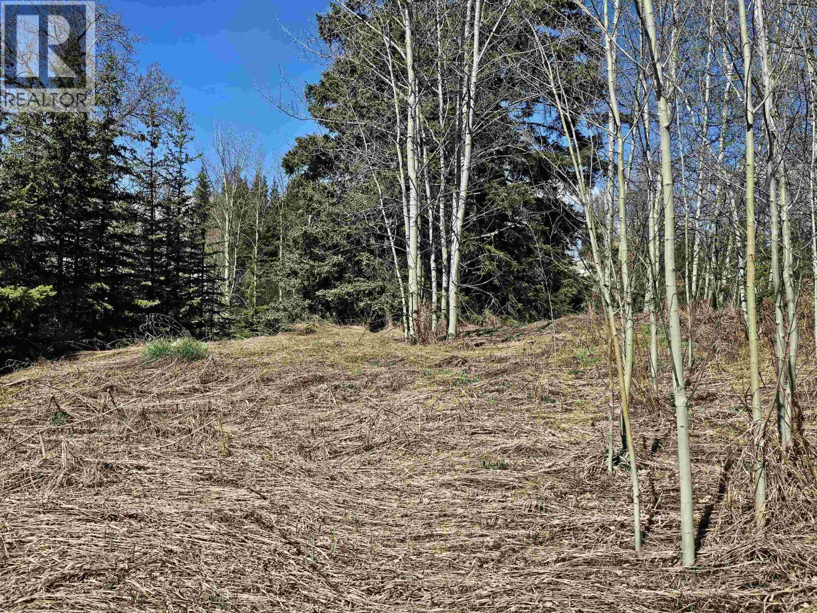 101 5th Avenue, Burns Lake, British Columbia  V0J 1E0 - Photo 1 - R3057796
