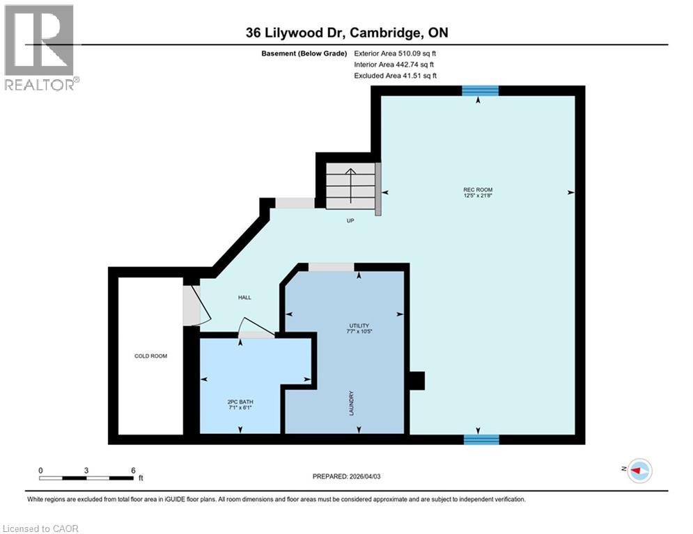36 Lilywood Drive, Cambridge, Ontario  N1P 1G9 - Photo 42 - 40828761
