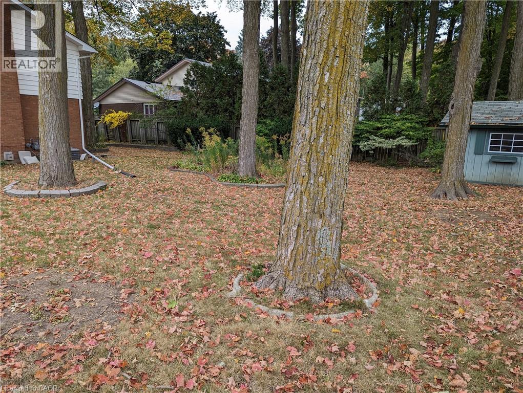 462 Hazel Street, Waterloo, Ontario  N2L 3R1 - Photo 9 - 40828366
