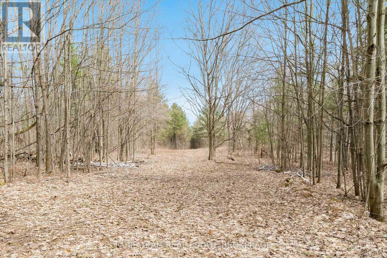 364 Champlain Road, Penetanguishene, Ontario  L9M 1S4 - Photo 11 - S13106990