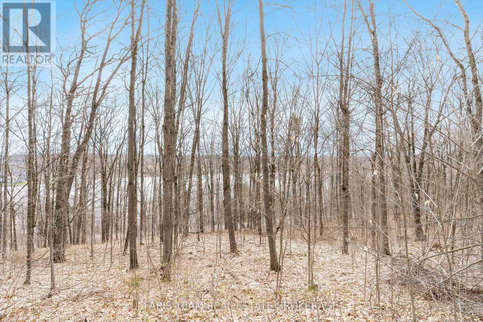 364 Champlain Road, Penetanguishene, Ontario  L9M 1S4 - Photo 7 - S13106990
