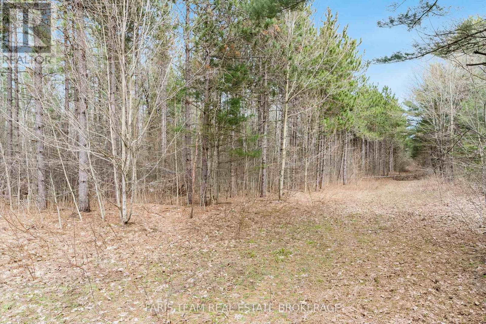 364 Champlain Road, Penetanguishene, Ontario  L9M 1S4 - Photo 8 - S13106990