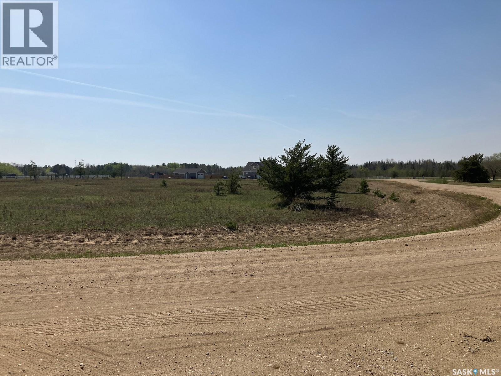 19 Burtman Drive S, Nipawin Rm No. 487, Saskatchewan  S0E 1E0 - Photo 7 - SK035369