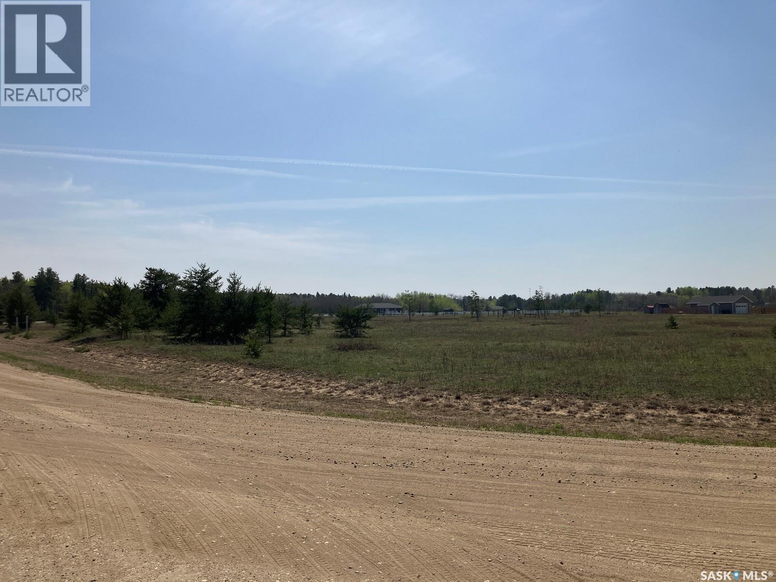 19 Burtman Drive S, Nipawin Rm No. 487, Saskatchewan  S0E 1E0 - Photo 8 - SK035369
