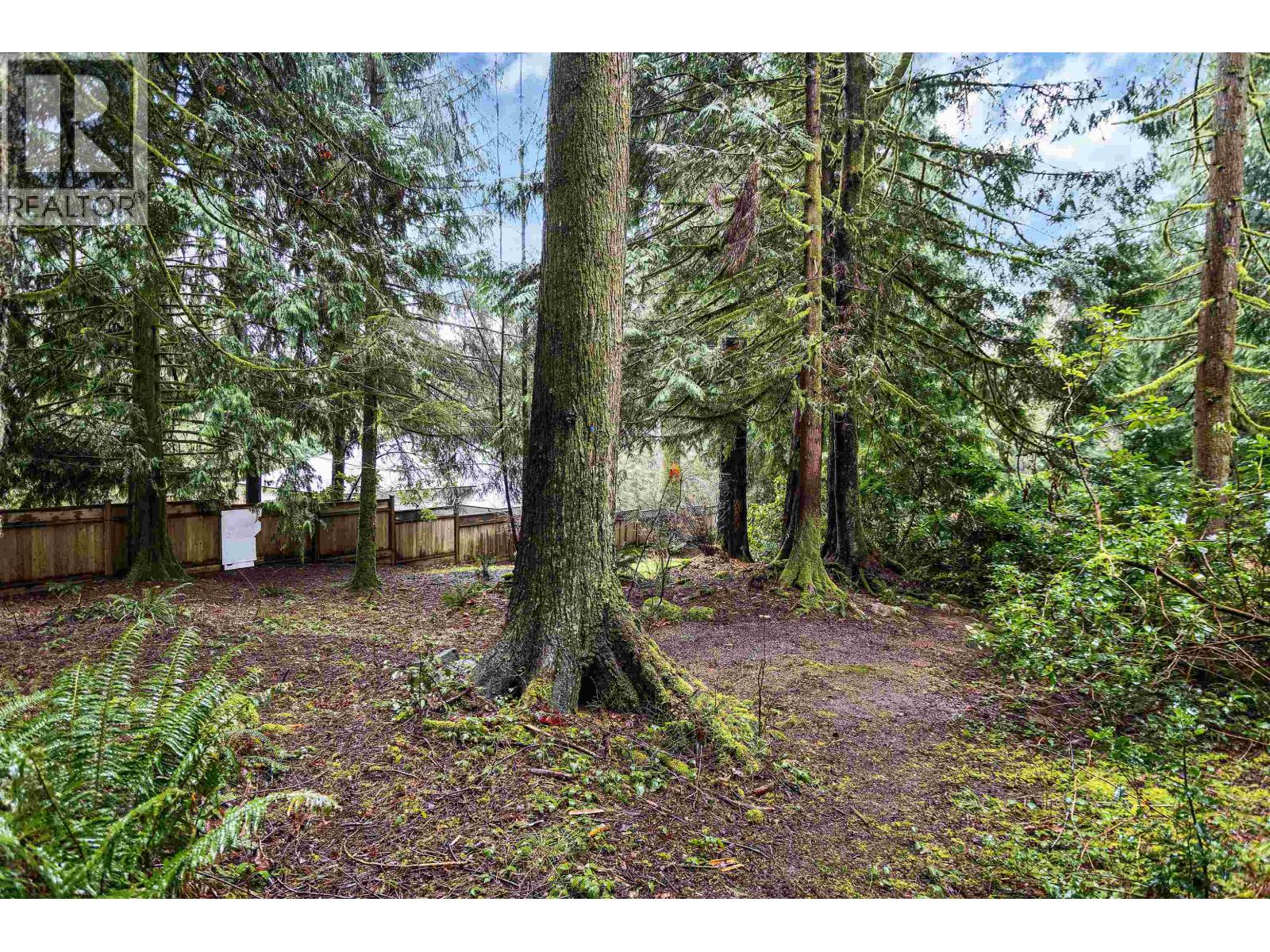 12146 Rothsay Street, Maple Ridge, British Columbia  V2W 1E2 - Photo 26 - R3101085