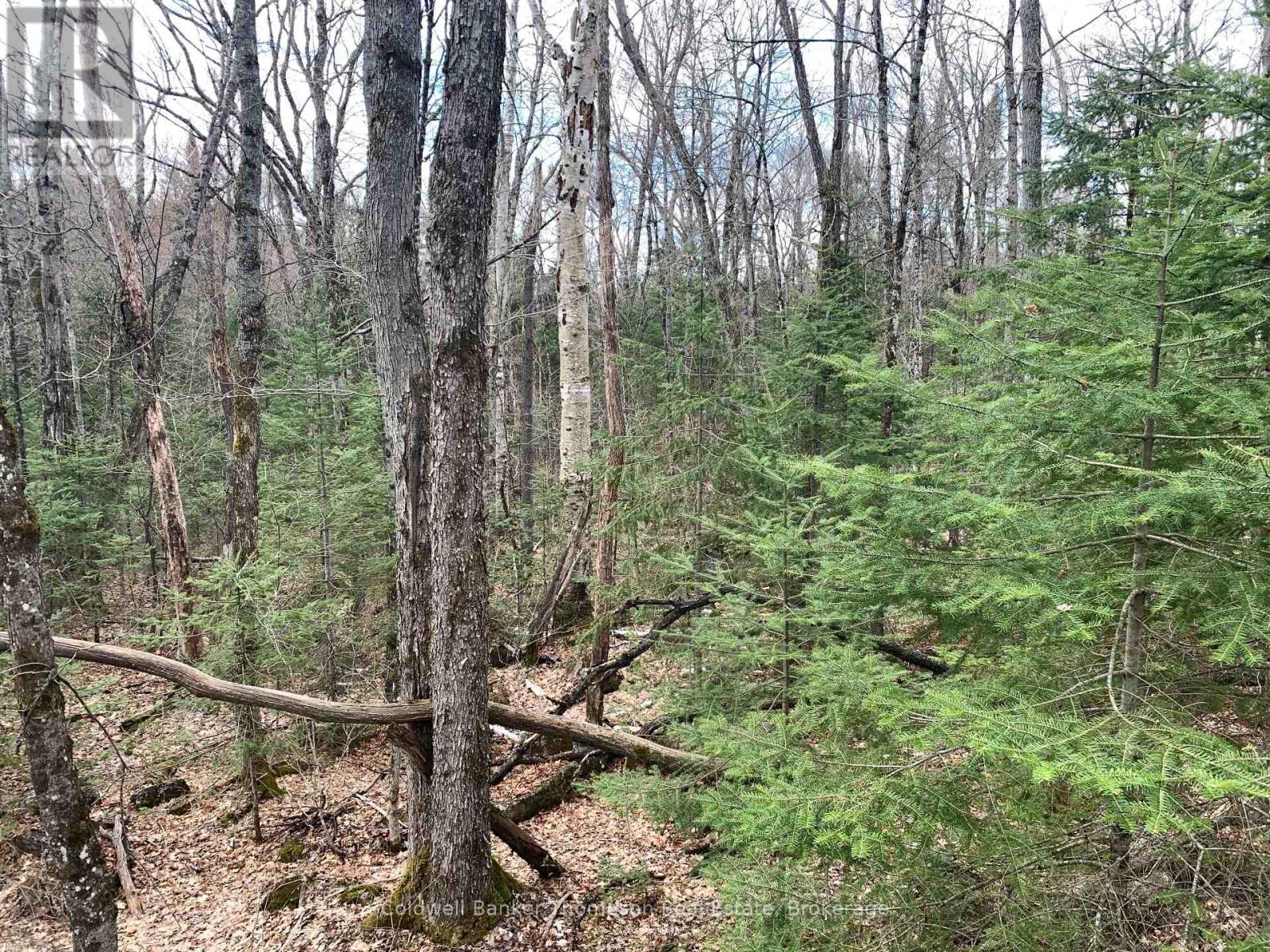 $70,0000 South Horn Lake Road, Strong, Ontario