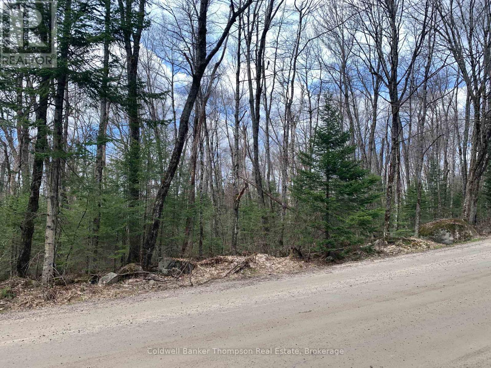 0 South Horn Lake Road, Strong, Ontario P0A 1Z0 - Photo 10 - X13107170