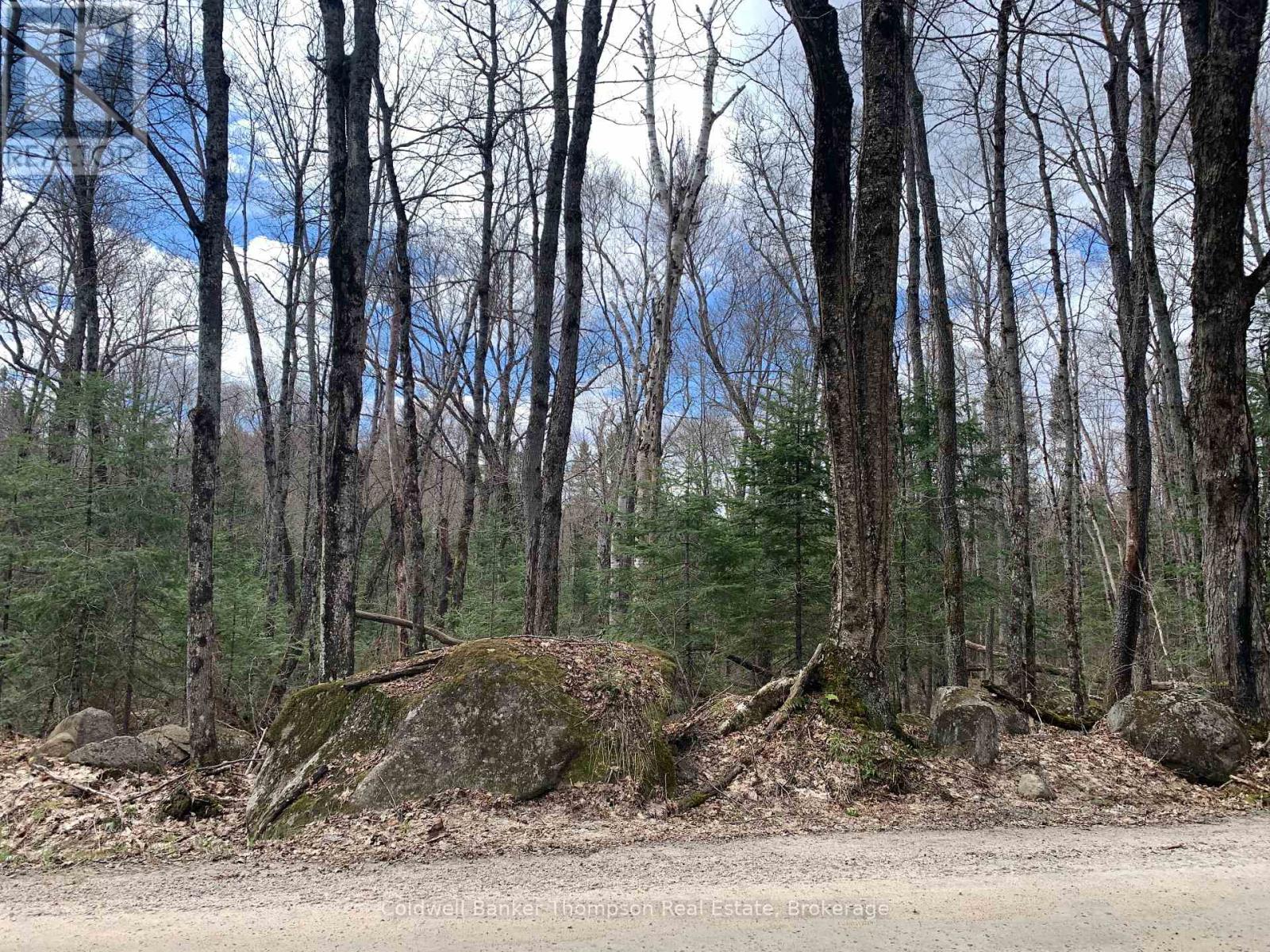 0 South Horn Lake Road, Strong, Ontario P0A 1Z0 - Photo 11 - X13107170