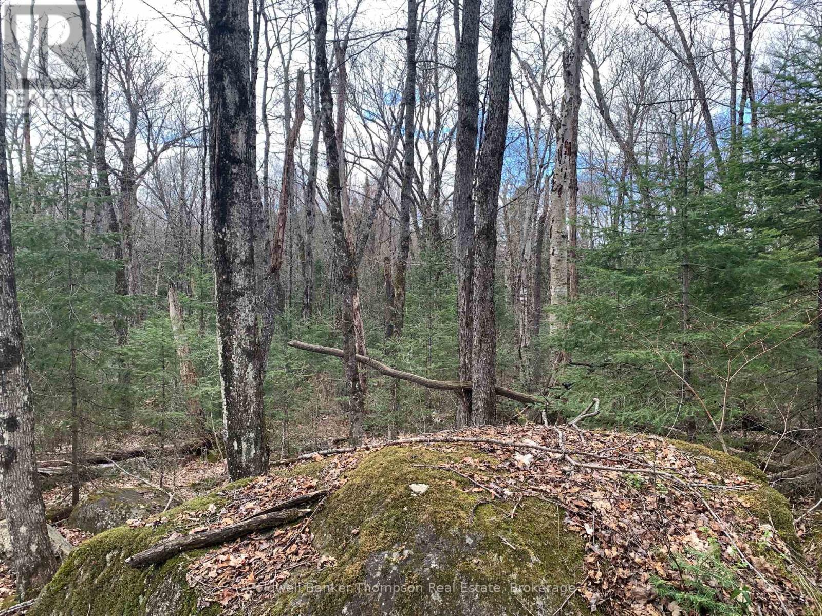 0 South Horn Lake Road, Strong, Ontario P0A 1Z0 - Photo 12 - X13107170