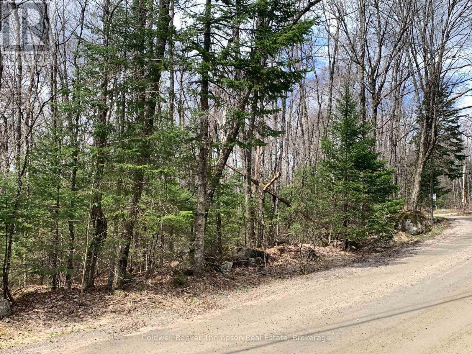 0 South Horn Lake Road, Strong, Ontario P0A 1Z0 - Photo 3 - X13107170