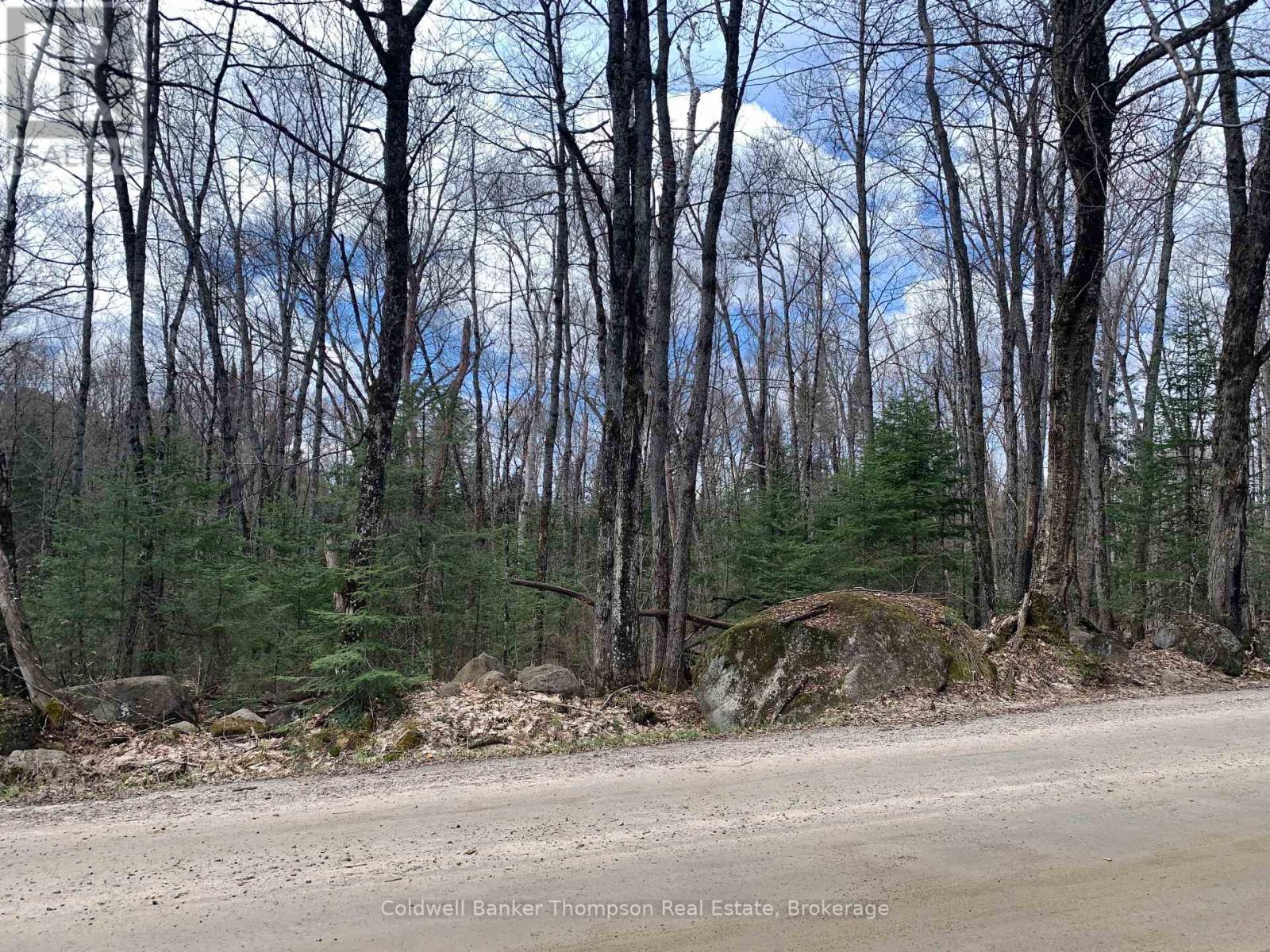0 South Horn Lake Road, Strong, Ontario P0A 1Z0 - Photo 5 - X13107170