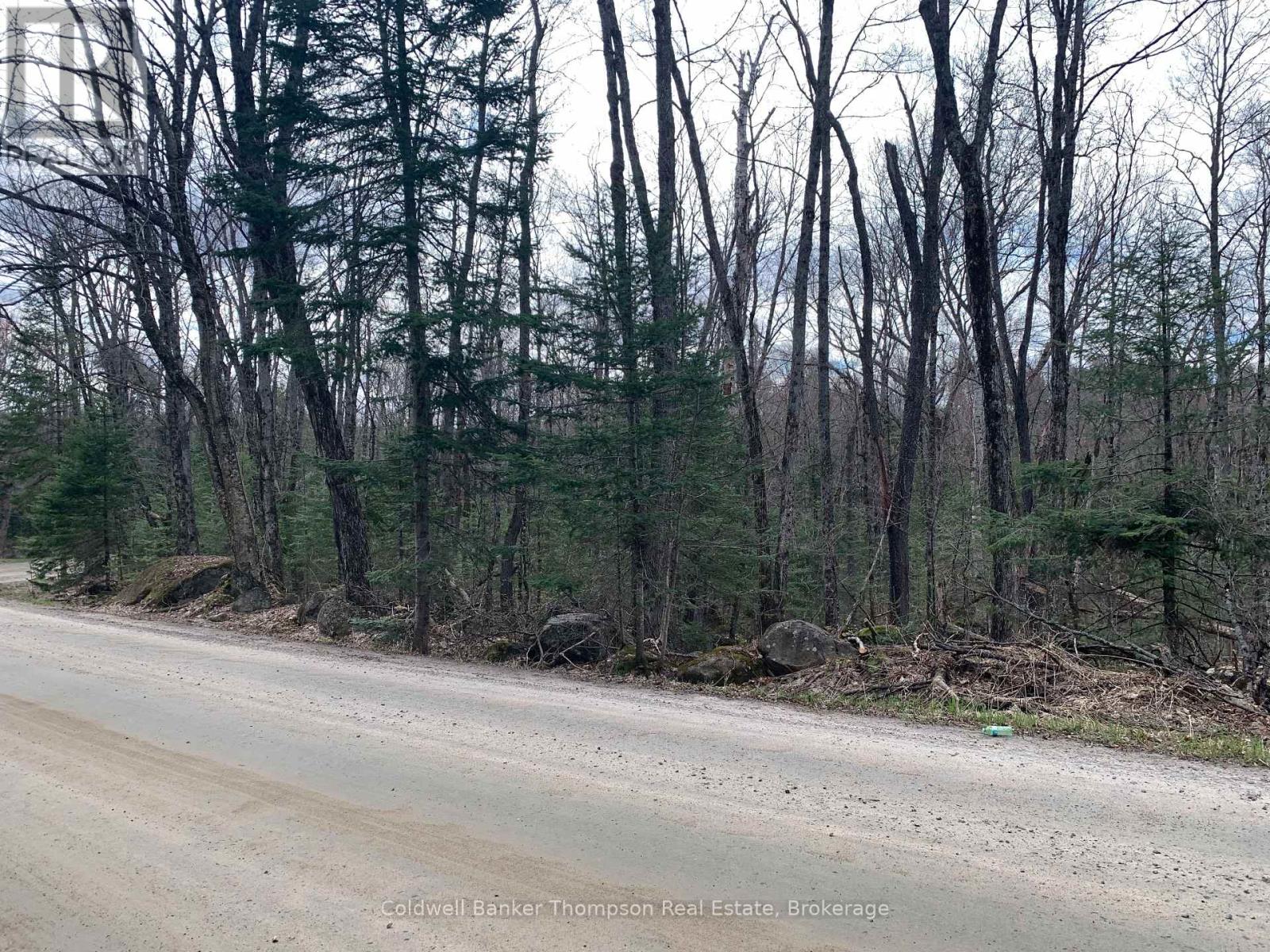 0 South Horn Lake Road, Strong, Ontario P0A 1Z0 - Photo 6 - X13107170