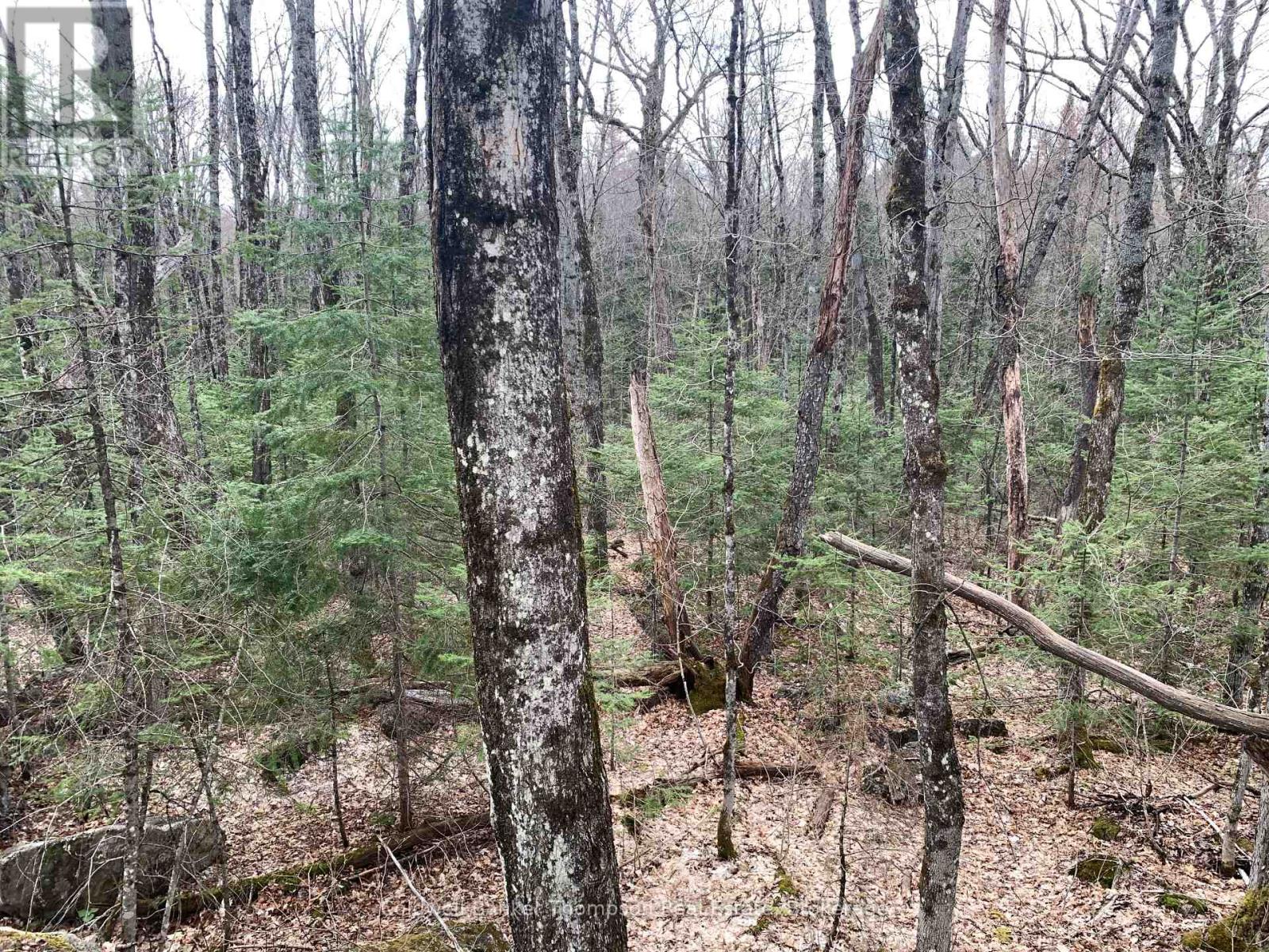 0 South Horn Lake Road, Strong, Ontario P0A 1Z0 - Photo 8 - X13107170