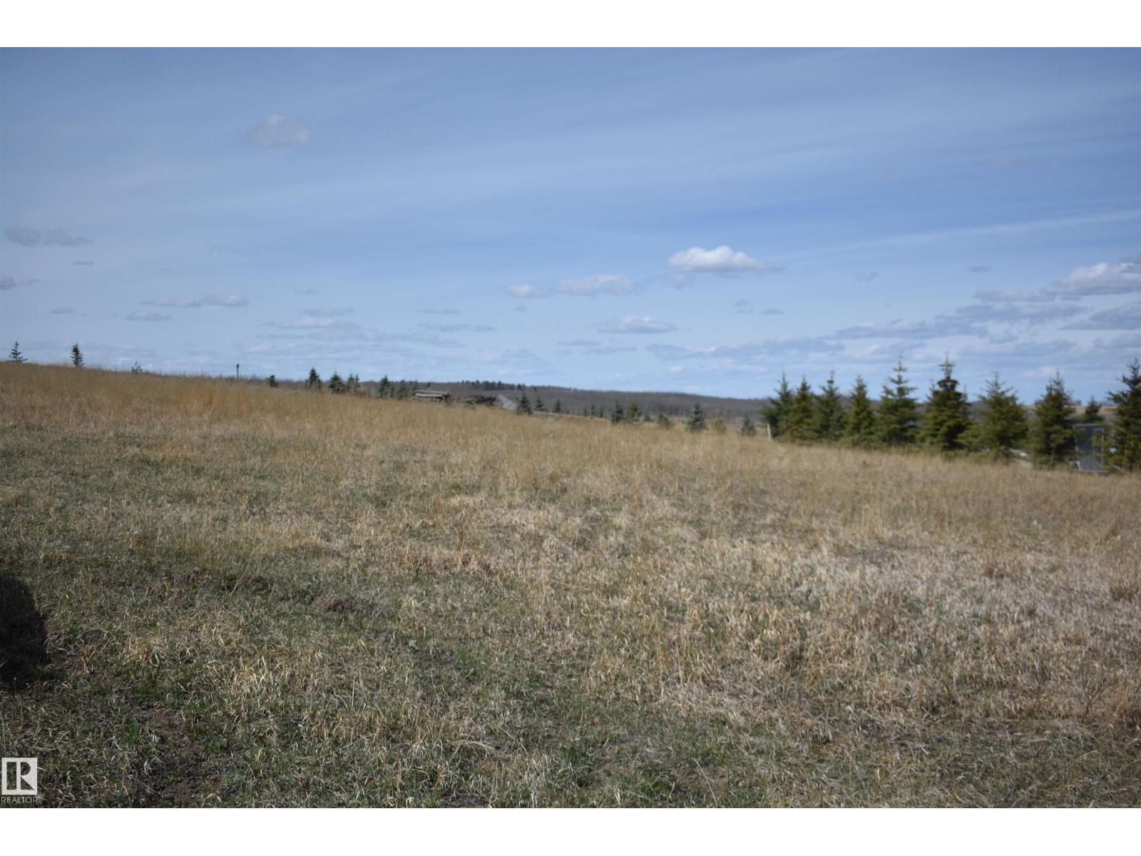 133 Bruhn Bv, Rural Ponoka County, Alberta  T0C 2J0 - Photo 10 - E4486817