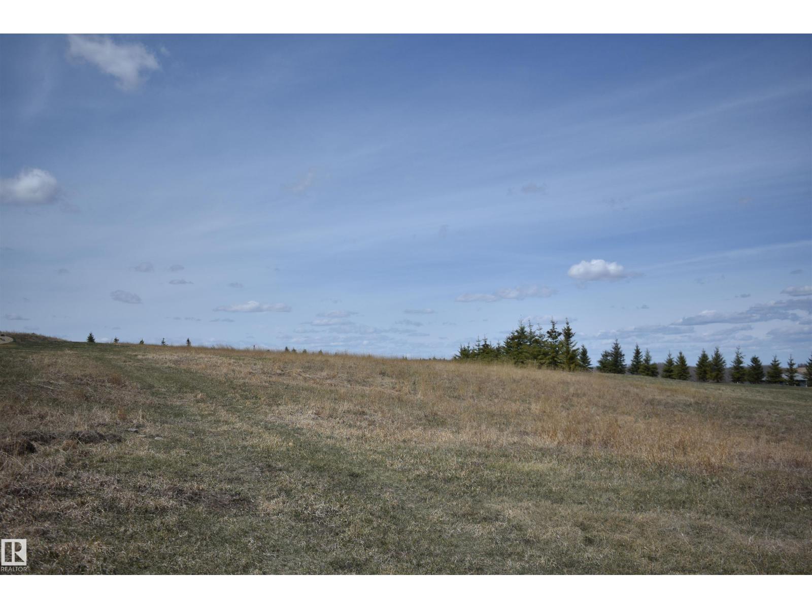 133 Bruhn Bv, Rural Ponoka County, Alberta  T0C 2J0 - Photo 11 - E4486817