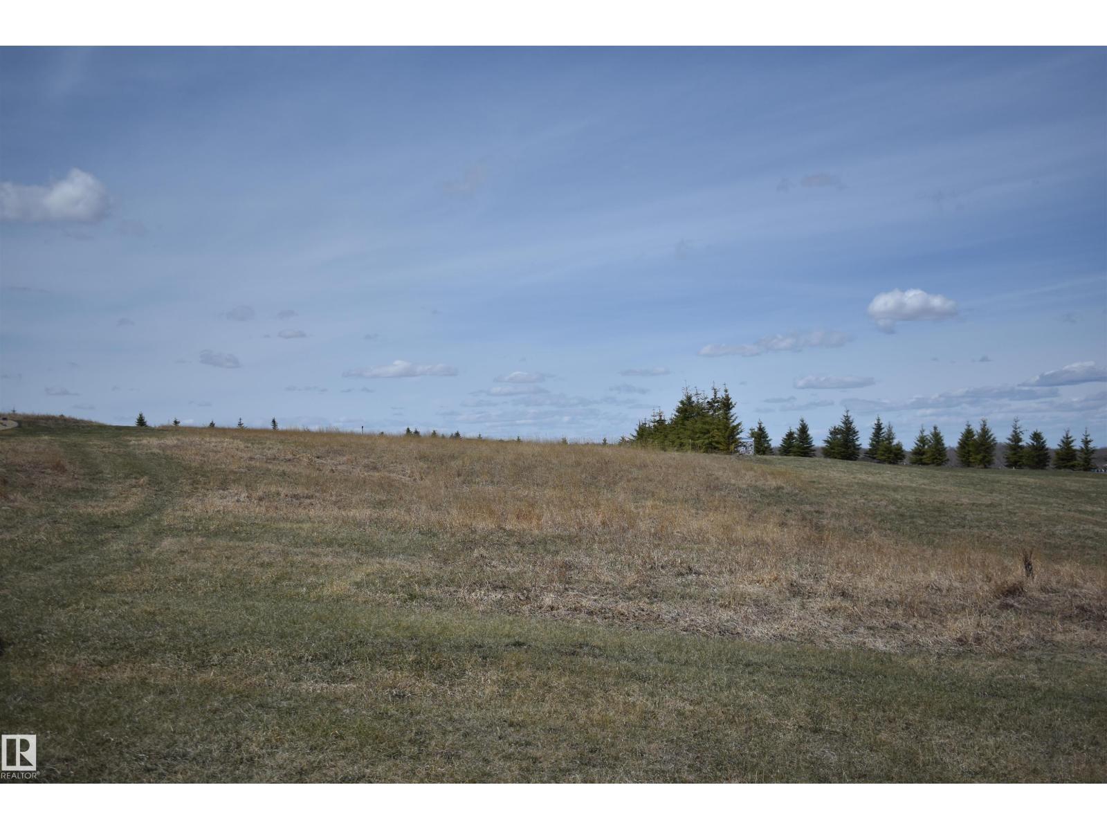 133 Bruhn Bv, Rural Ponoka County, Alberta  T0C 2J0 - Photo 12 - E4486817