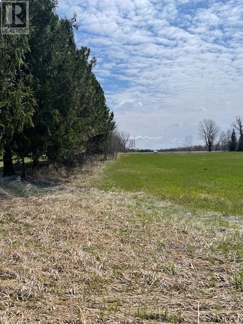 Con 1 Pt Lot 3 Burritts Rapids Road, Ottawa, Ontario  K0G 1N0 - Photo 10 - X13107180