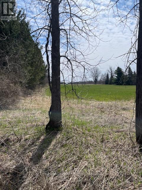 Con 1 Pt Lot 3 Burritts Rapids Road, Ottawa, Ontario  K0G 1N0 - Photo 11 - X13107180
