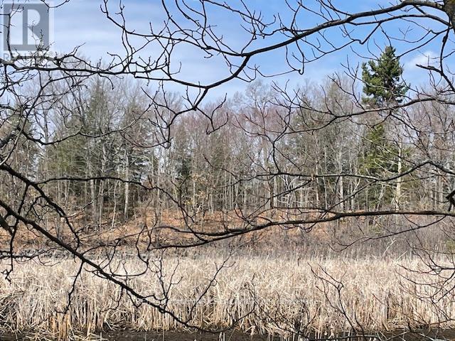 Con 1 Pt Lot 3 Burritts Rapids Road, Ottawa, Ontario  K0G 1N0 - Photo 12 - X13107180