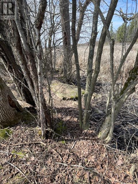 Con 1 Pt Lot 3 Burritts Rapids Road, Ottawa, Ontario  K0G 1N0 - Photo 13 - X13107180