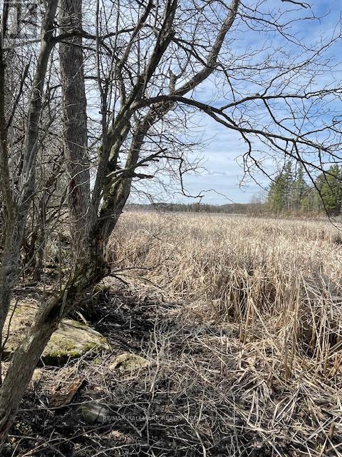 Con 1 Pt Lot 3 Burritts Rapids Road, Ottawa, Ontario  K0G 1N0 - Photo 14 - X13107180