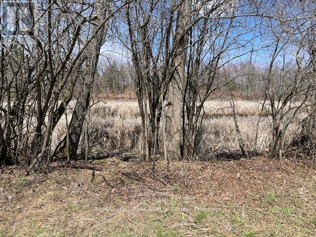 Con 1 Pt Lot 3 Burritts Rapids Road, Ottawa, Ontario  K0G 1N0 - Photo 16 - X13107180