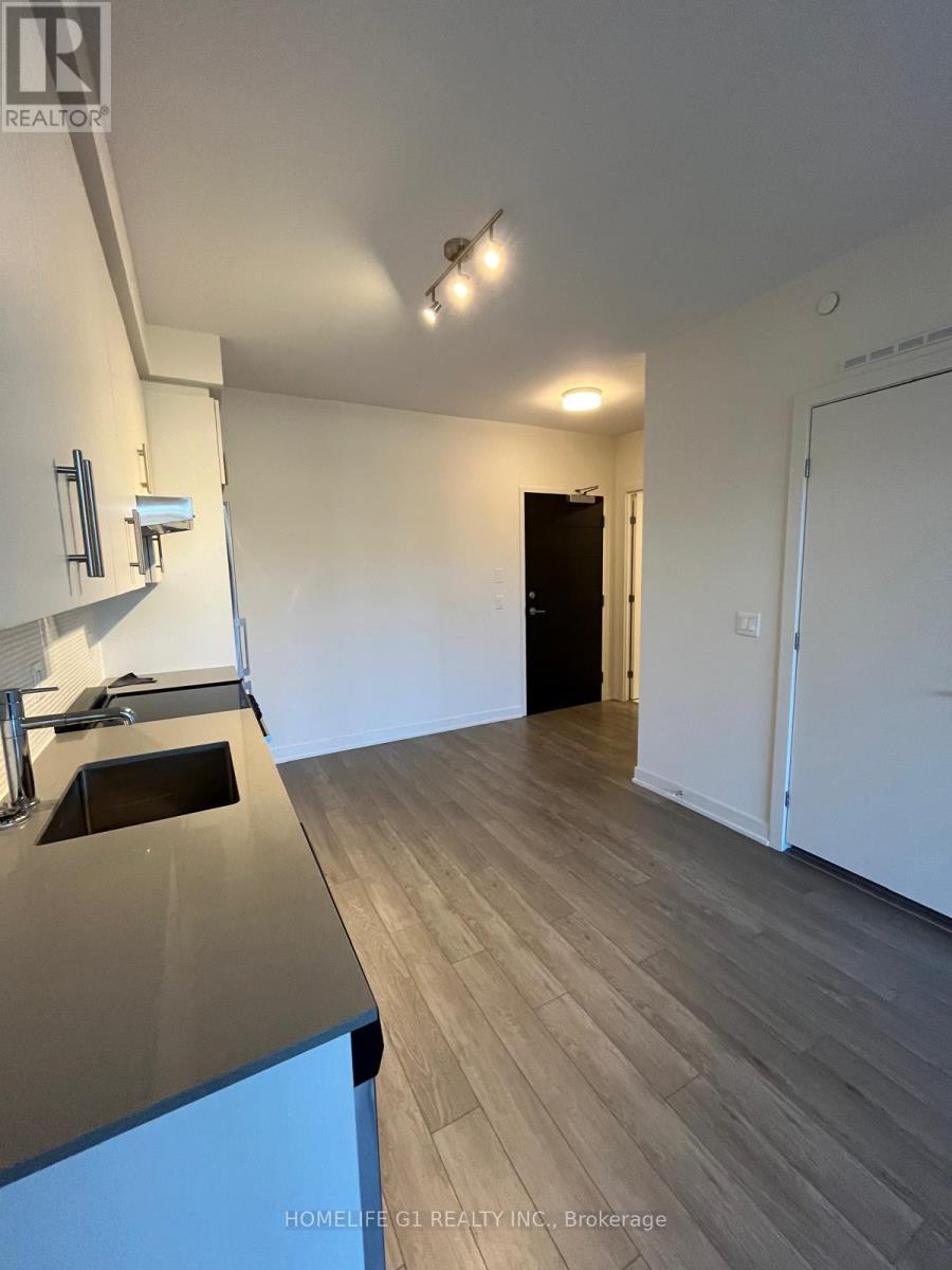 522 - 212 King William Street, Hamilton, Ontario  L8R 3N9 - Photo 3 - X13107110