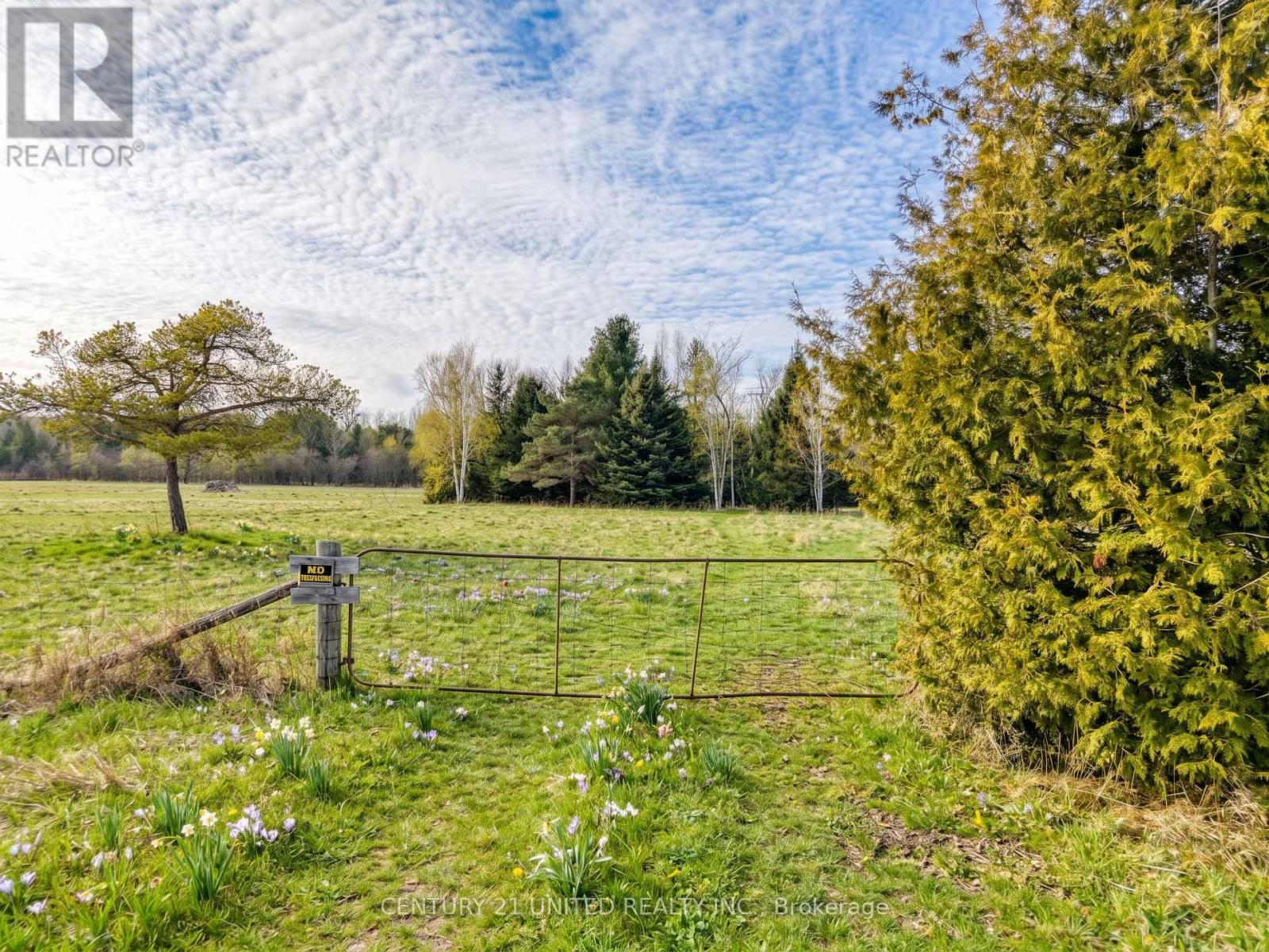 938 County Road, Cramahe, Ontario  K0K 1M0 - Photo 5 - X12654024