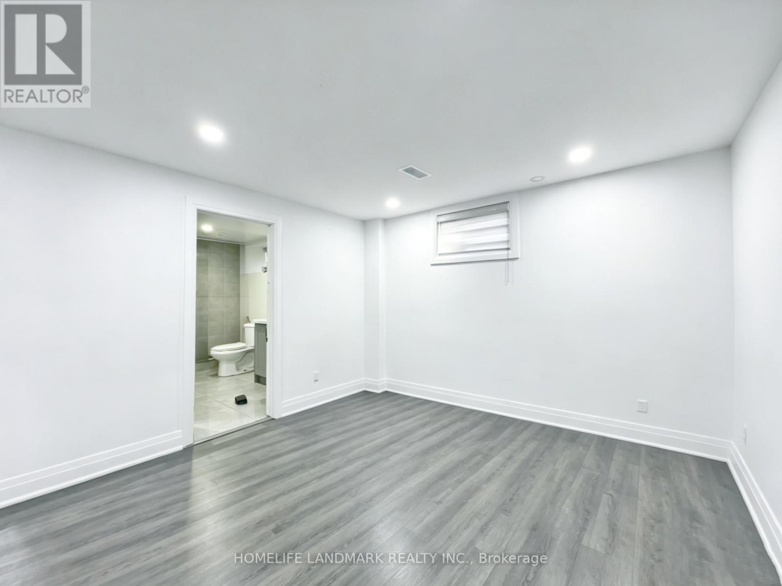 Lower - 181 Maple Avenue, Richmond Hill, Ontario  L4C 2J2 - Photo 11 - N13107184
