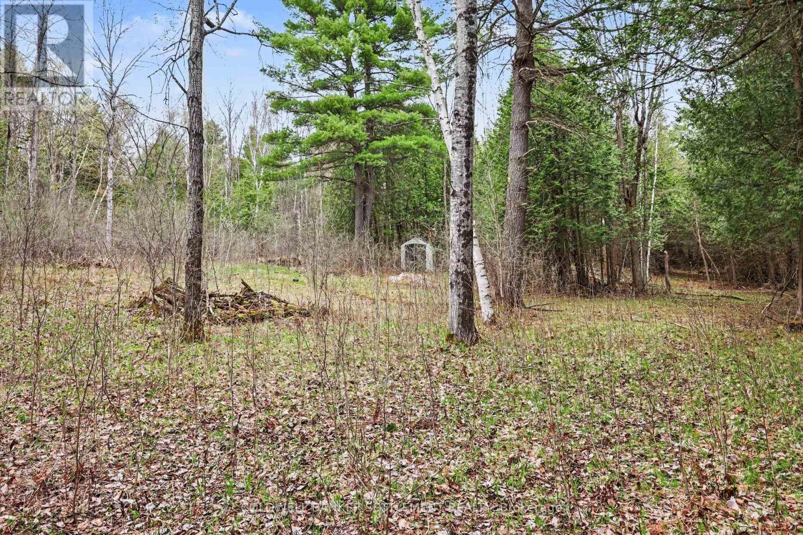1008 Dalhousie 6a Concession, Lanark Highlands, Ontario  K0G 1K0 - Photo 4 - X13095146