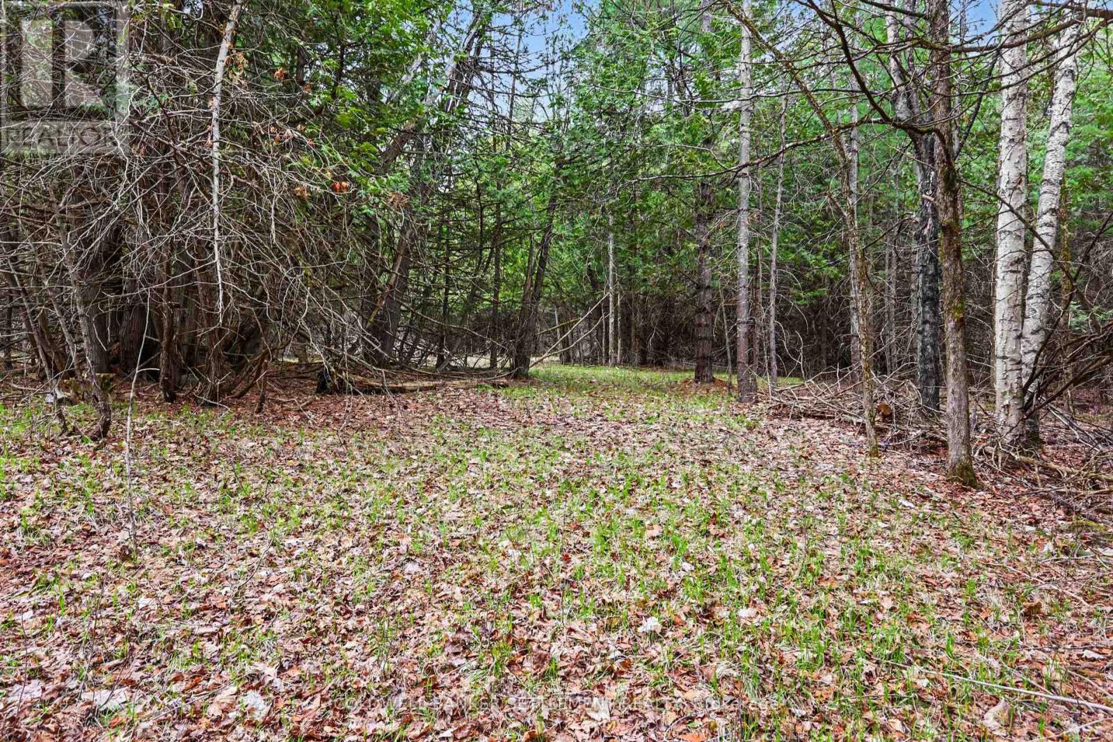 1008 Dalhousie 6a Concession, Lanark Highlands, Ontario  K0G 1K0 - Photo 3 - X13095146