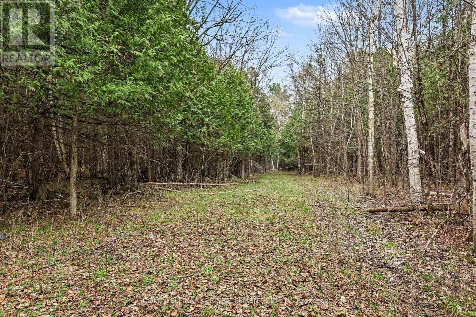 1008 Dalhousie 6a Concession, Lanark Highlands, Ontario  K0G 1K0 - Photo 5 - X13095146