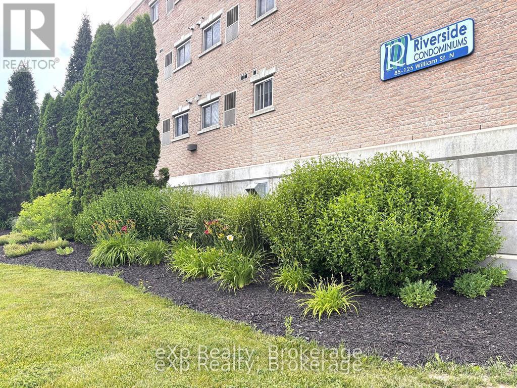 204 - 85 William Street N, Brockton, Ontario  N0G 2V0 - Photo 9 - X13104798
