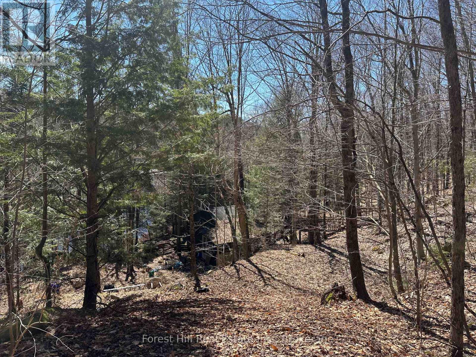 1107 Crane Lake Road, Algonquin Highlands, Ontario  P0A 1E0 - Photo 26 - X12758824