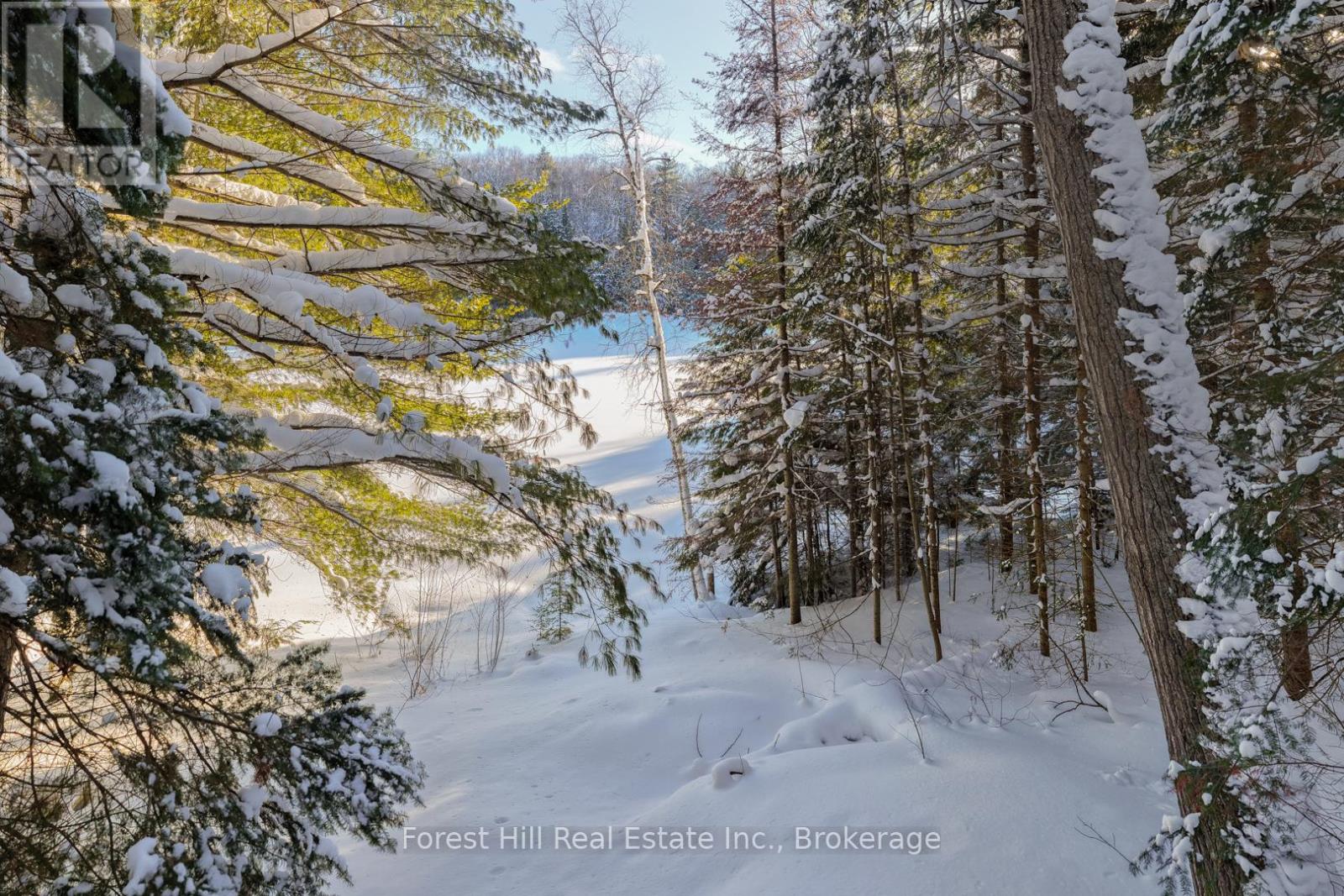 1107 Crane Lake Road, Algonquin Highlands, Ontario  P0A 1E0 - Photo 4 - X12758824