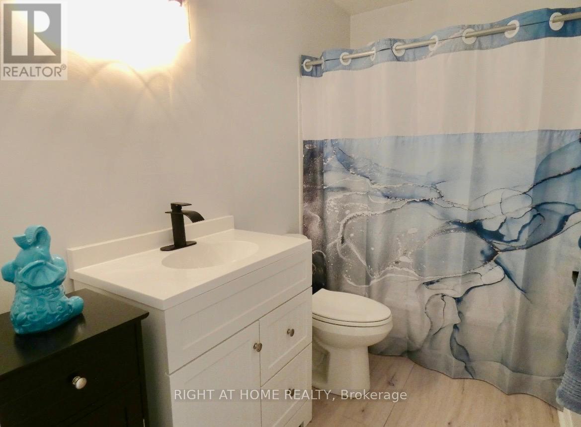 169 Castlefrank Road, Ottawa, Ontario  K2L 1T3 - Photo 17 - X13076050