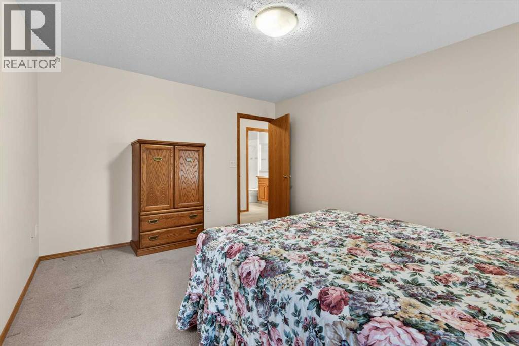 1121 Southview Drive, Three Hills, Alberta  T0M 2A0 - Photo 19 - A2309058