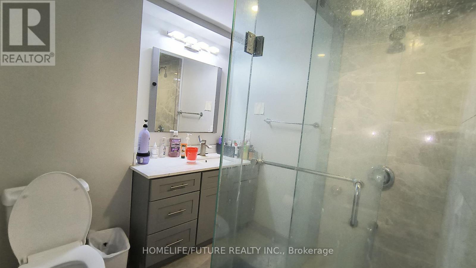 Bsmt - 17 Gander Drive, Toronto, Ontario  M1G 2W3 - Photo 11 - E13106908
