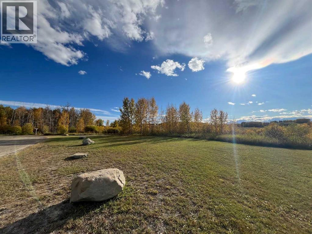 #50, 110 Highway 22, Cremona, Alberta  T0M 0R0 - Photo 19 - A2289728