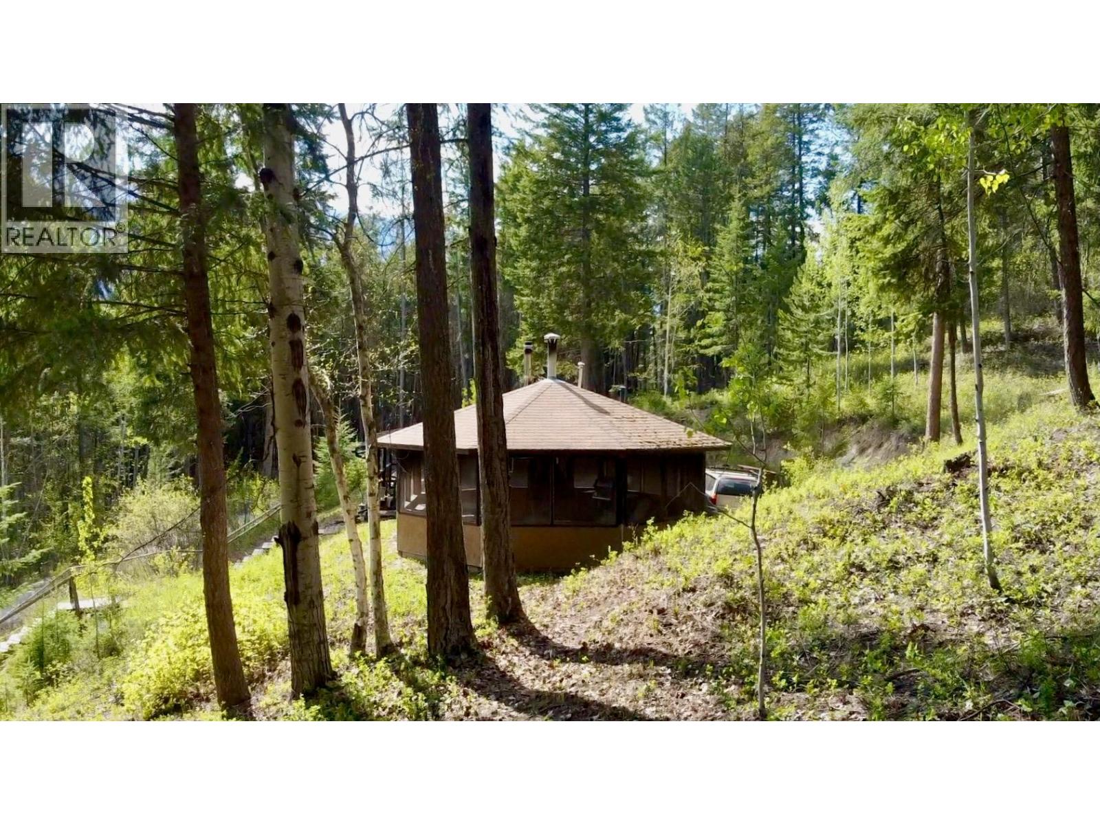 3033 Olive Road, Golden, British Columbia  V0A 1H0 - Photo 4 - 10386814