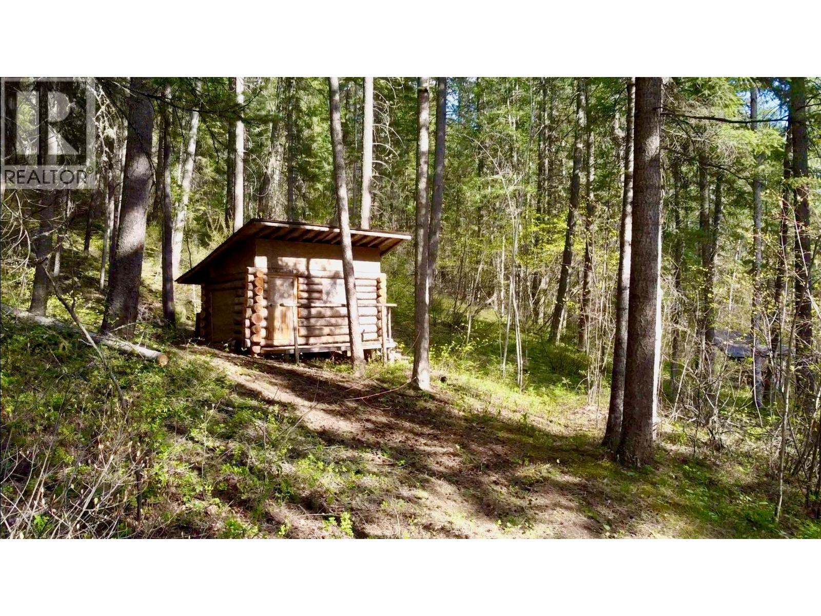 3033 Olive Road, Golden, British Columbia  V0A 1H0 - Photo 10 - 10386814