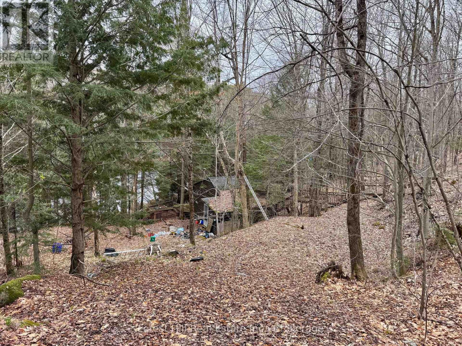 1107 Crane Lake Road, Algonquin Highlands, Ontario  P0A 1E0 - Photo 26 - X12758824