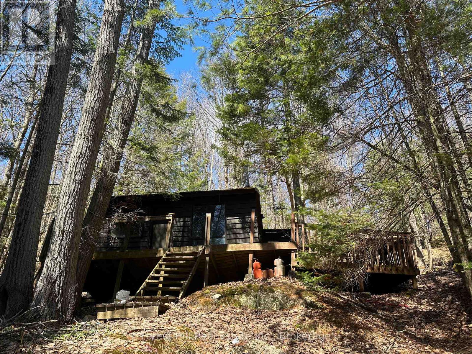 1107 Crane Lake Road, Algonquin Highlands, Ontario  P0A 1E0 - Photo 5 - X12758824