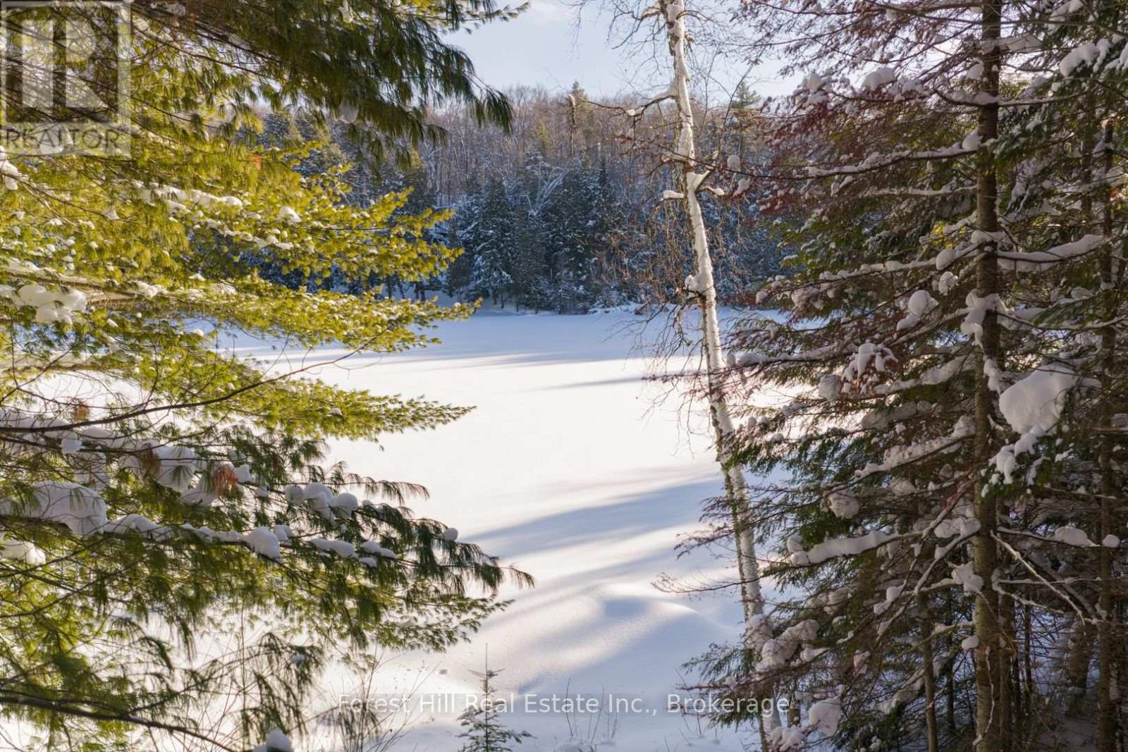 1107 Crane Lake Road, Algonquin Highlands, Ontario  P0A 1E0 - Photo 7 - X12758824