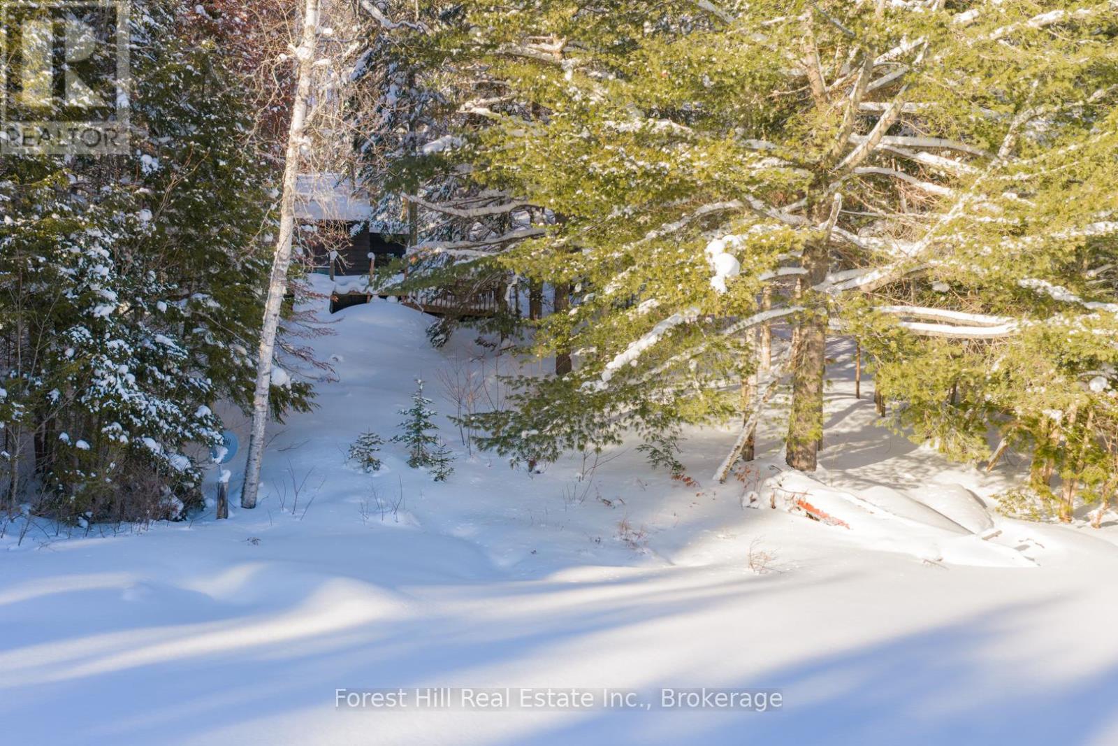 1107 Crane Lake Road, Algonquin Highlands, Ontario  P0A 1E0 - Photo 6 - X12758824