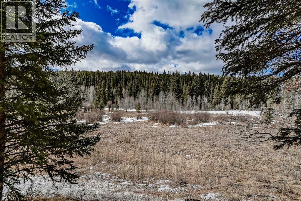 52120 Township Road 283, Rural Rocky View County, Alberta  T0L 0W0 - Photo 45 - A2307571